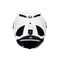 PISTA GP RR MONO WHITE - FULL-FACE MOTORCYCLE HELMET E2206 DOT