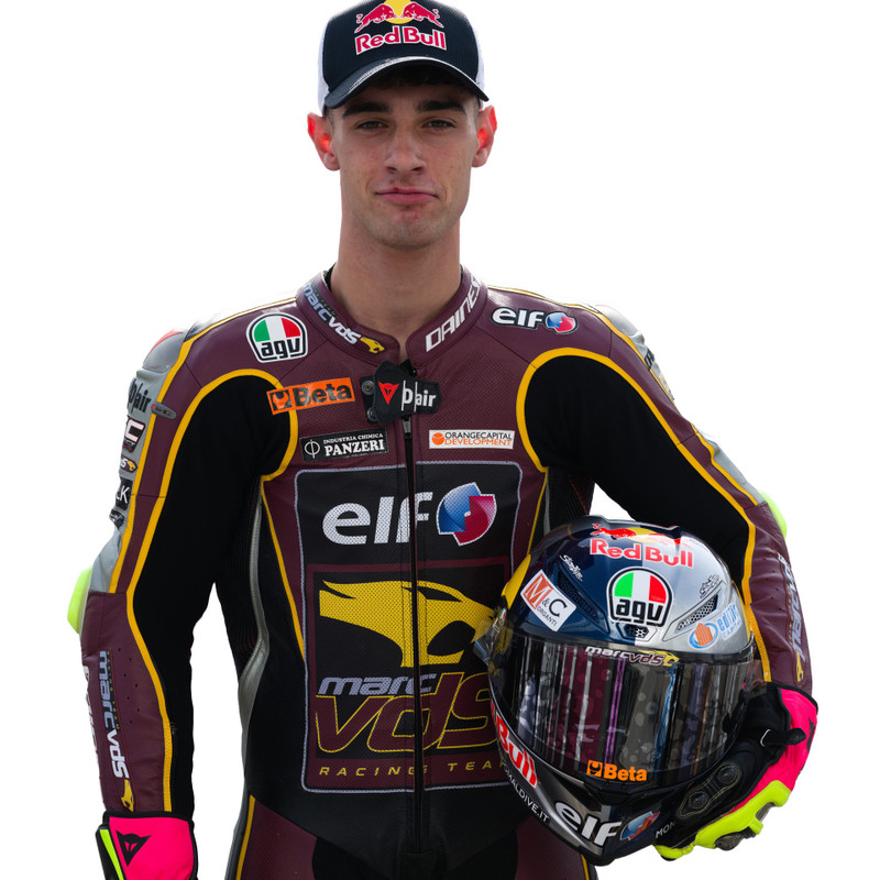 TONY ARBOLINO