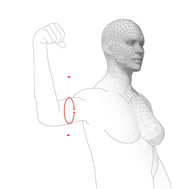 MUSCLE CIRCUMFERENCE