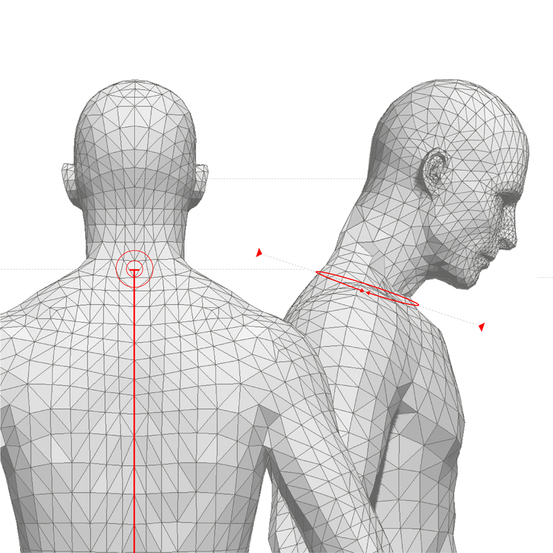 how to measure: back lenght