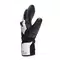 MEN'S ERGOTEK PRO SOFIA GOGGIA SKI MITTENS