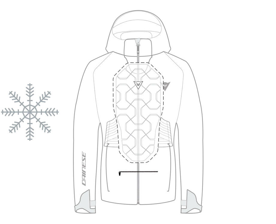hp dendrite s