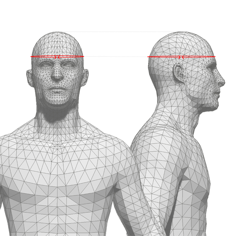 Head Circumference