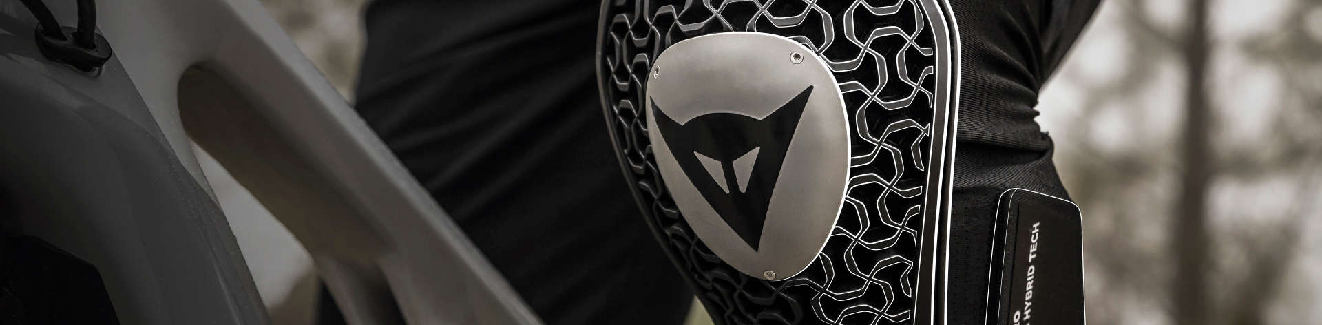 Dainese Bike protections