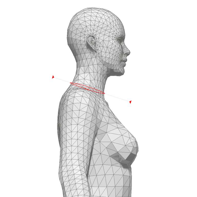 NECK CIRCUMFERENCE