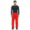 HP RIDGE SKIHOSE FÜR HERREN