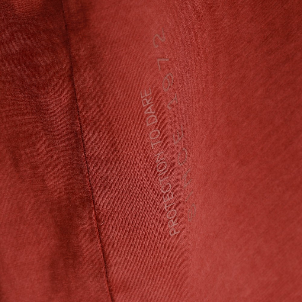 sfumata-t-shirt-girocollo-uomo-red-pear image number 6