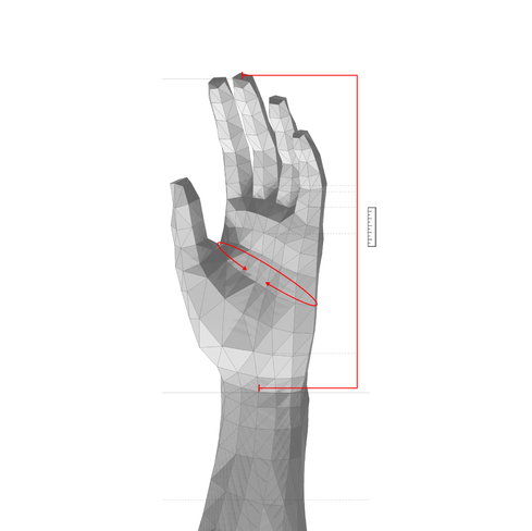 how to measure: palm circumference