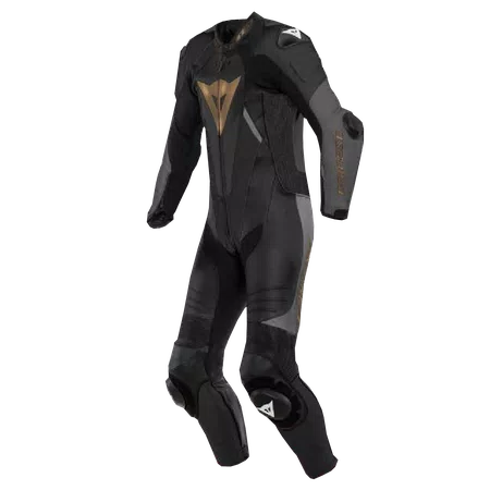 Outlet and exclusive sales Motorcycle Leather Suits Dainese