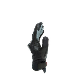 D-EXPLORER 2 GLOVES - Gloves