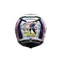 PISTA GP RR ASSEN 2007 (LIMITED EDITION) - MOTORBIKE FULL FACE HELMET E2206 DOT