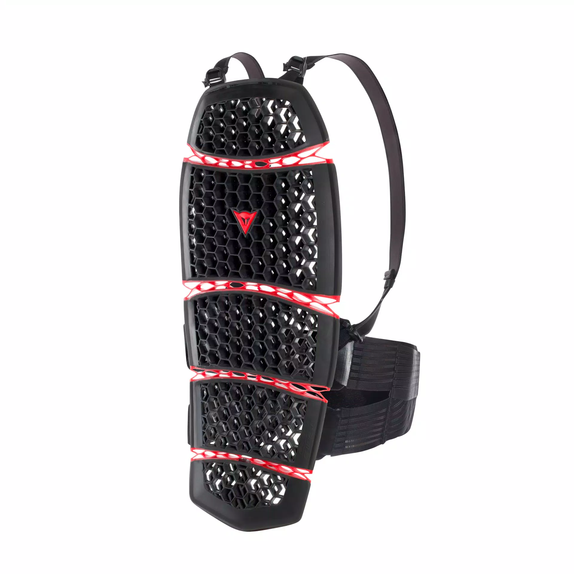 PRO-ARMOR BACK SHORT 2.0 - MOTORCYCLE BACK PROTECTOR WITH STRAPS