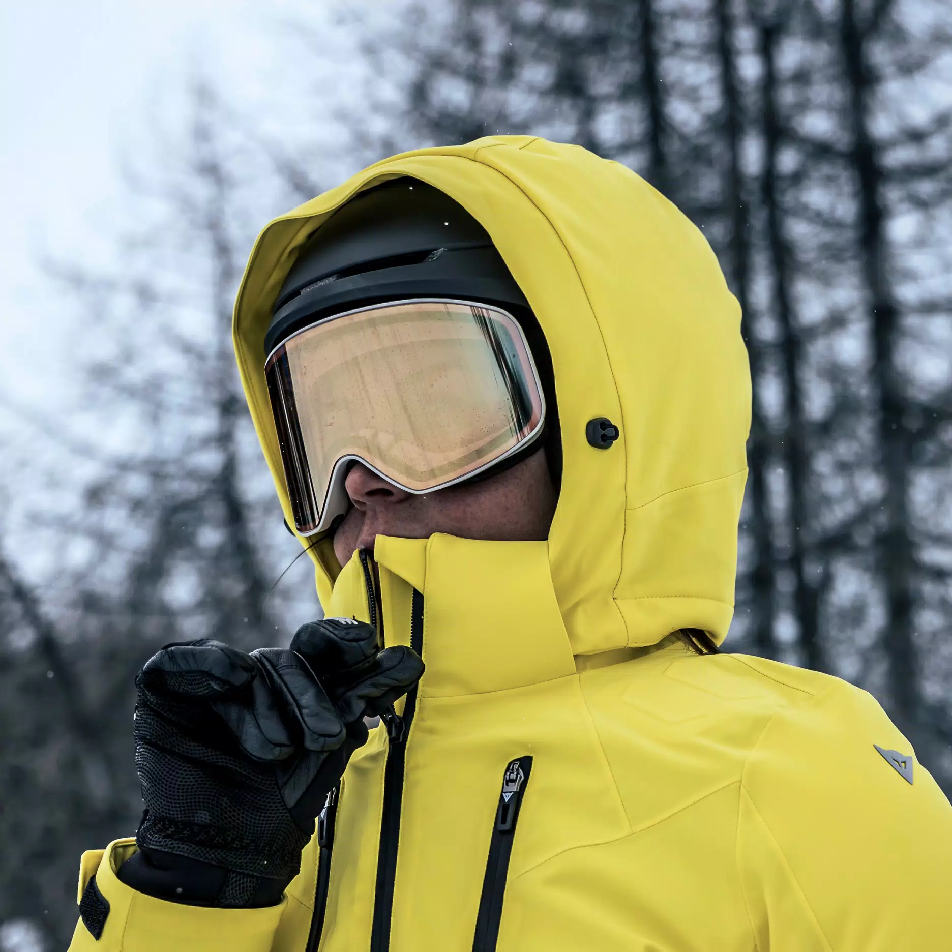 HP HORIZON SKI GOOGLES