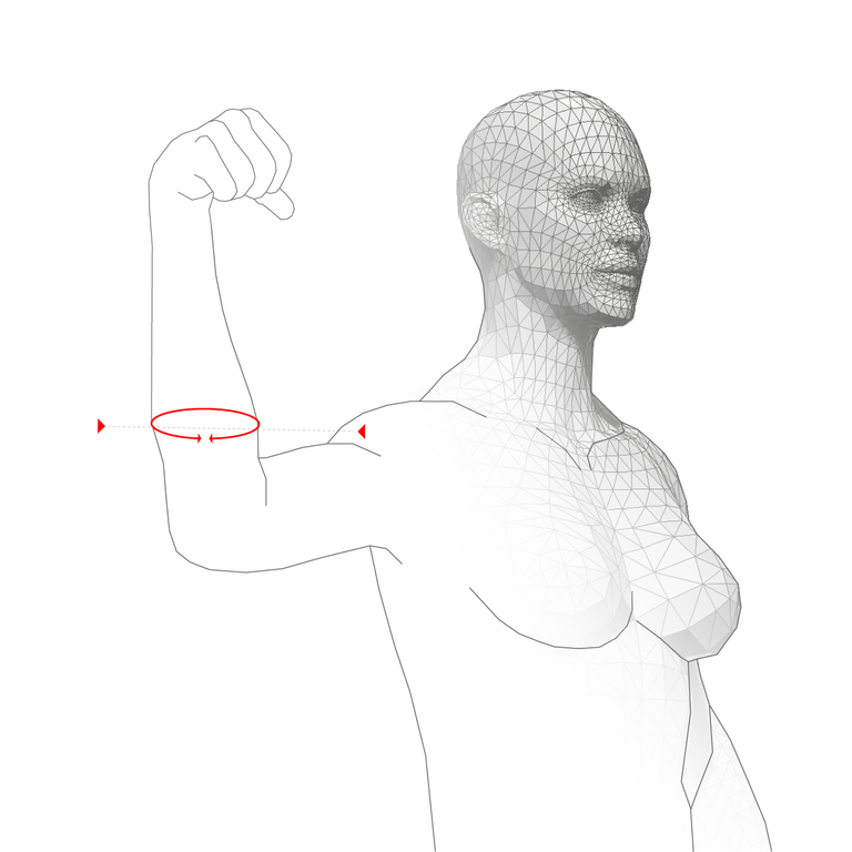 FOREARM CIRCUMFERENCE