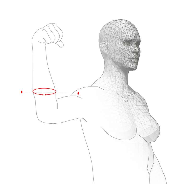 FOREARM CIRCUMFERENCE