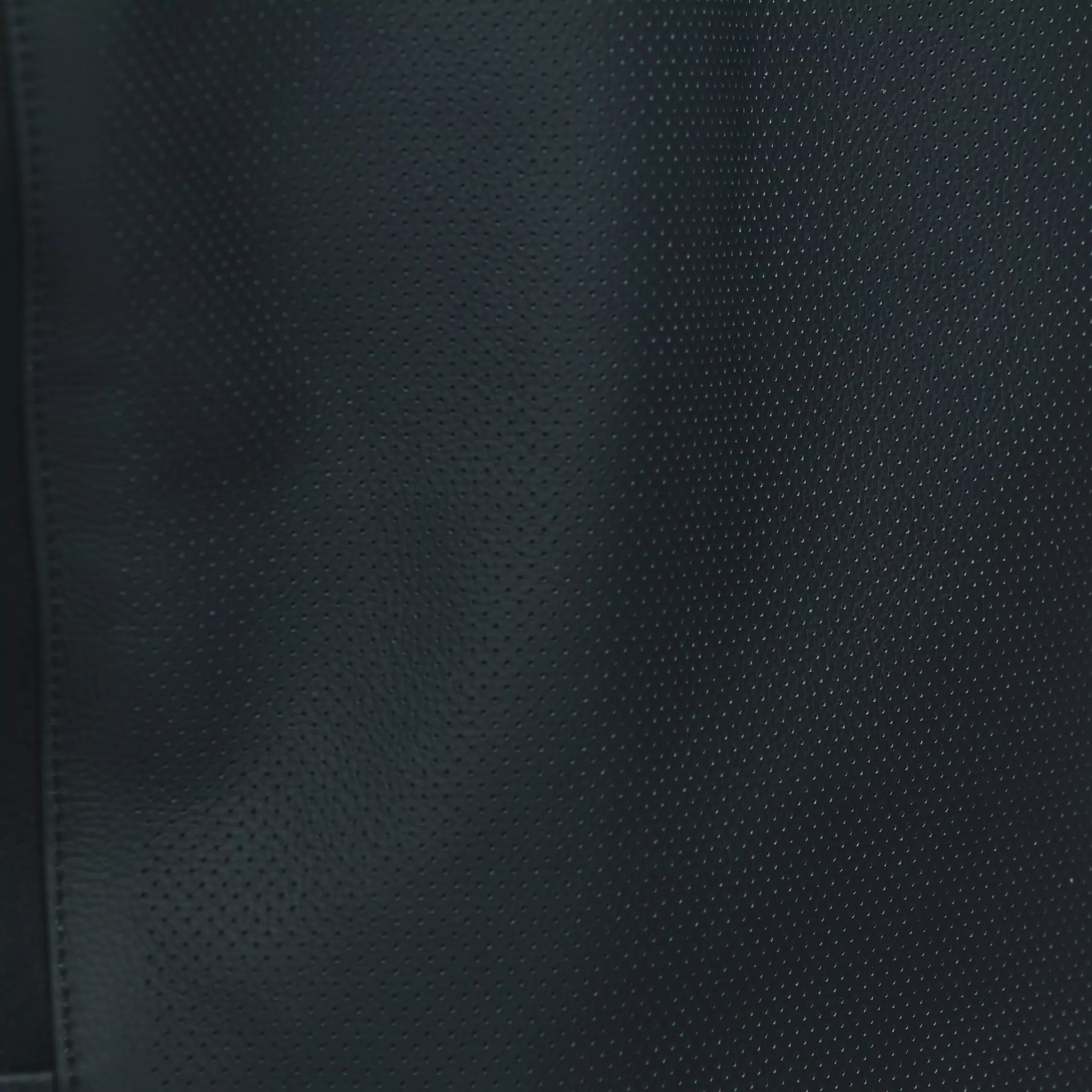 SPORTIVA LEATHER JACKET PERF.