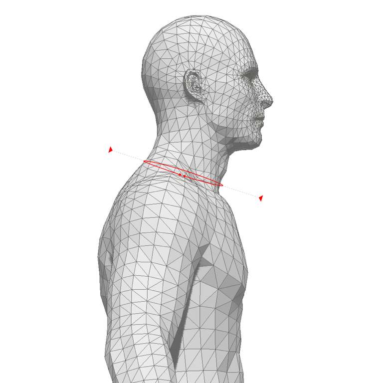 NECK CIRCUMFERENCE