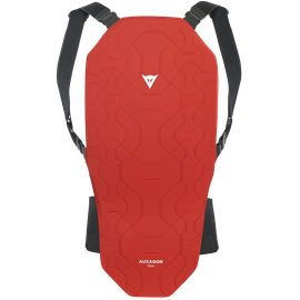 AUXAGON 2 SKI BACK PROTECTOR 