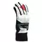 HP - MEN&rsquo;S SKI GLOVES
