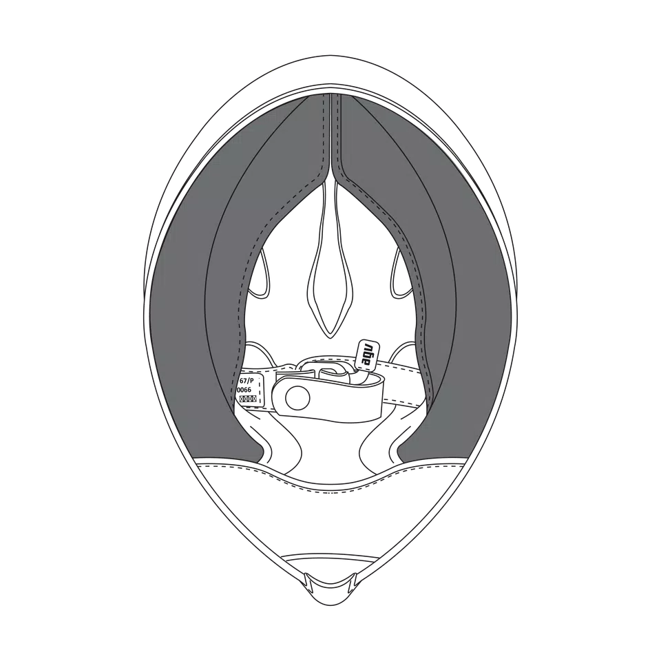 AGV CHEEK PADS PISTA GP R (MS) - BLACK -  - 1