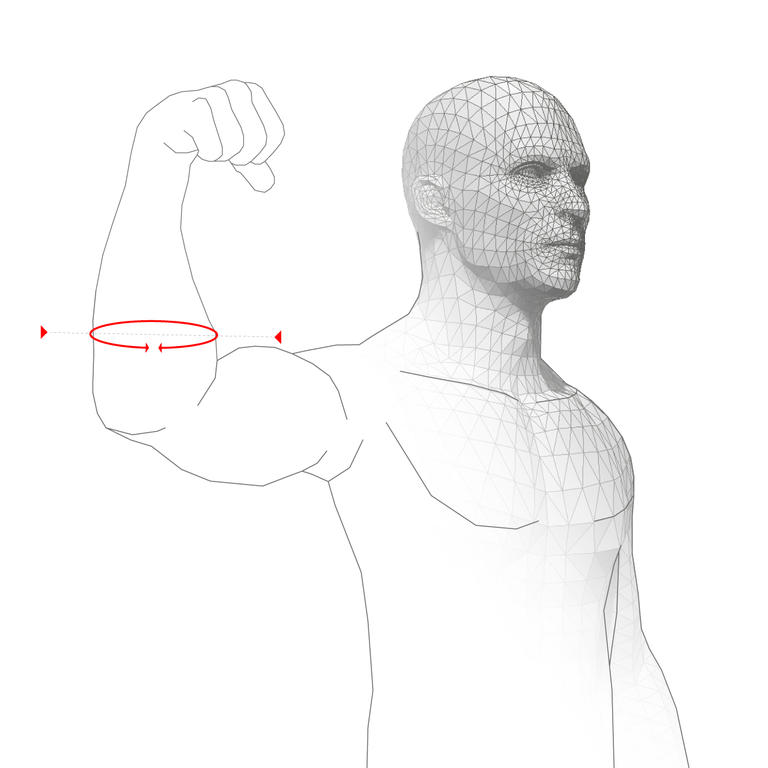 FOREARM CIRCUMFERENCE