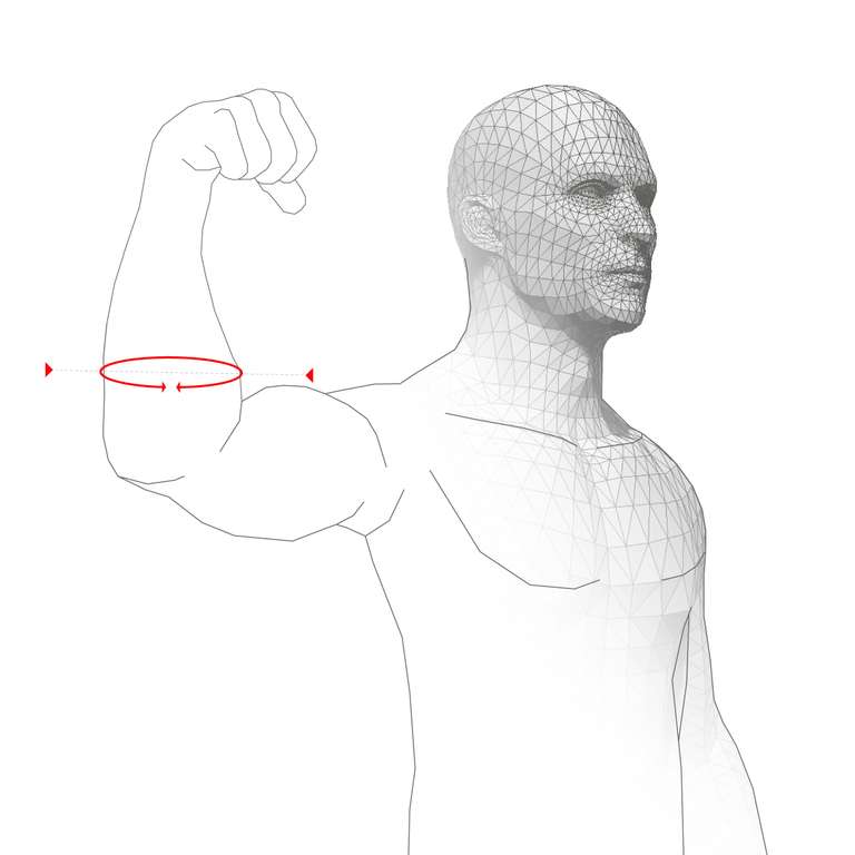 FOREARM CIRCUMFERENCE