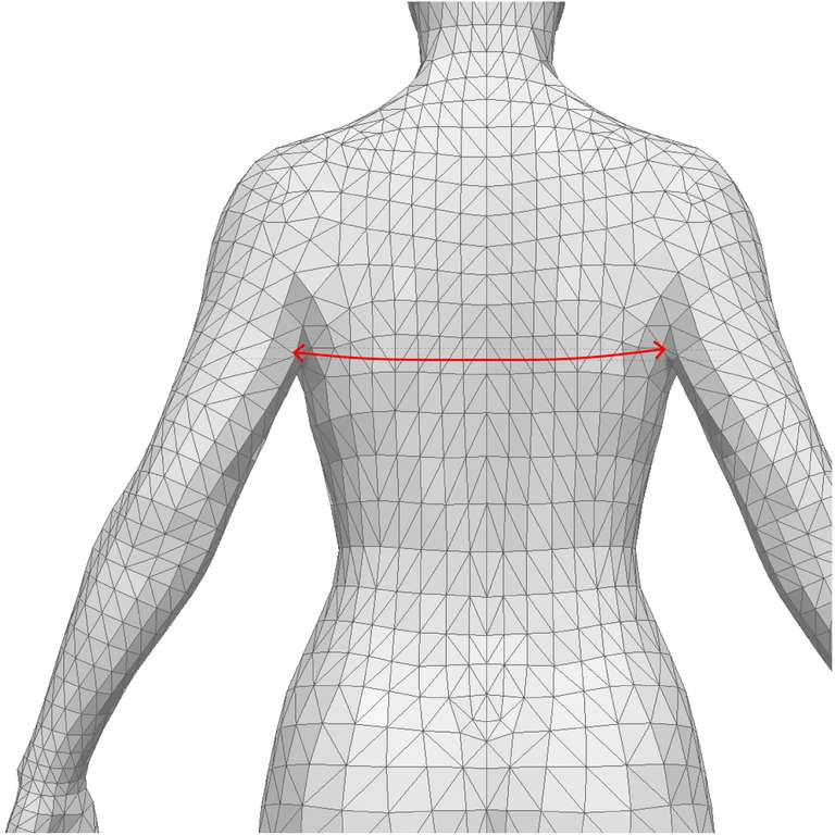 Back Width measurement - Women 