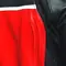 RACING 4 - BLOUSON MOTO EN CUIR HOMME