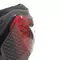 TORQUE 4 S - BOTTES RACING ET ROUTE HOMME