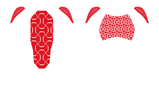 TRAIL SKINS PRO TEE | Dainese