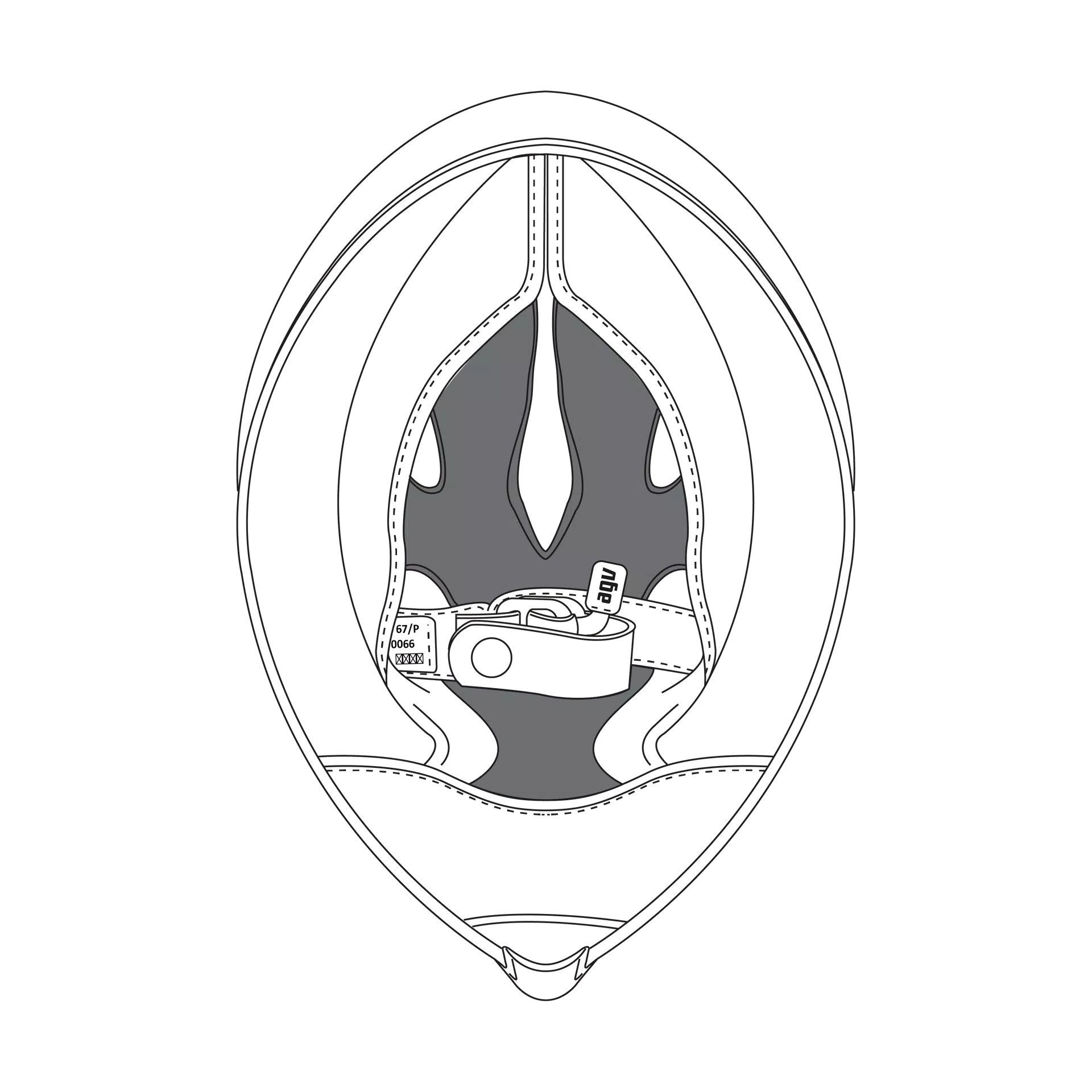 AGV CROWN PAD PISTA GP R (S) - BLACK/RED